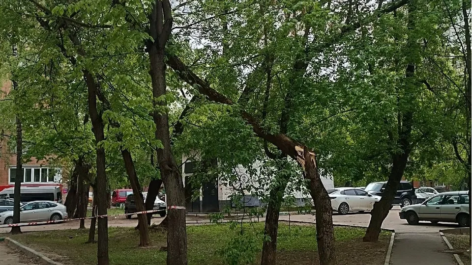 Фото: t.me/tipichniypodolsk