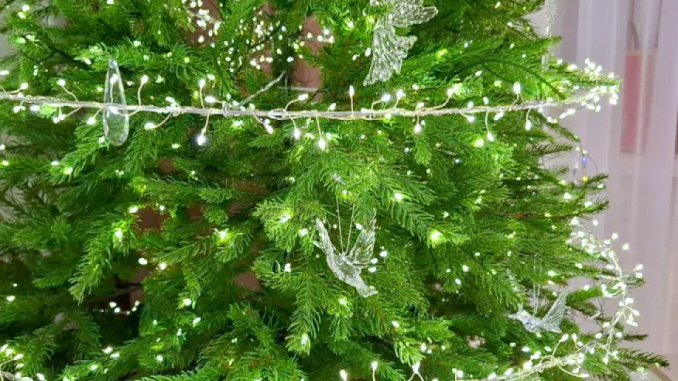 Фото: REGIONS/Юлия Габбасова