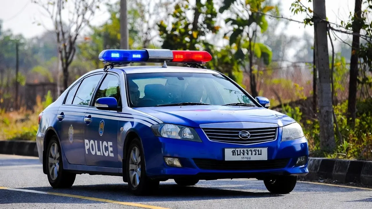 Двух россиян задержали в Таиланде за жестокую расправу над бизнесменом из Петербурга