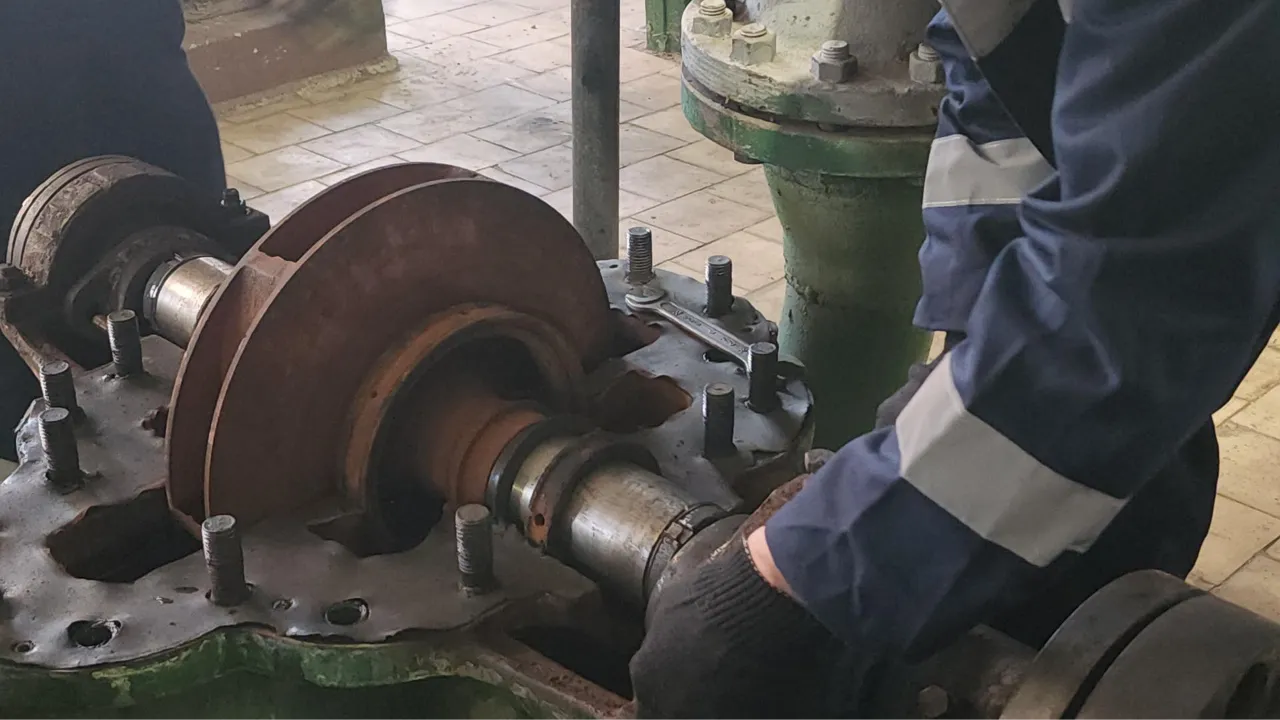 МедиаБанк Подмосковья/Наталья Лымарь