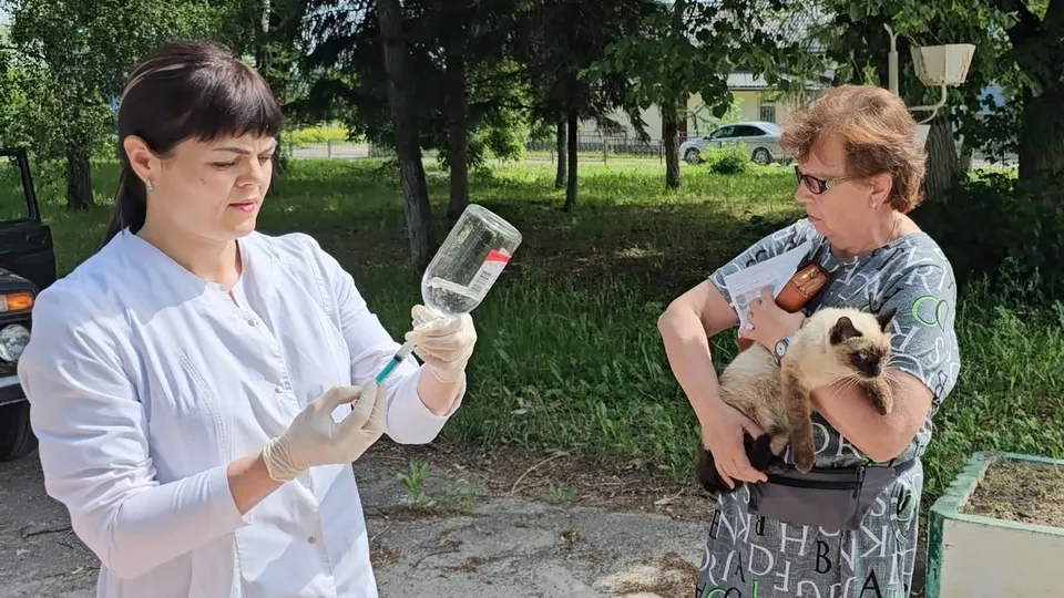 Фото: REGIONS/Александр Дрожжин