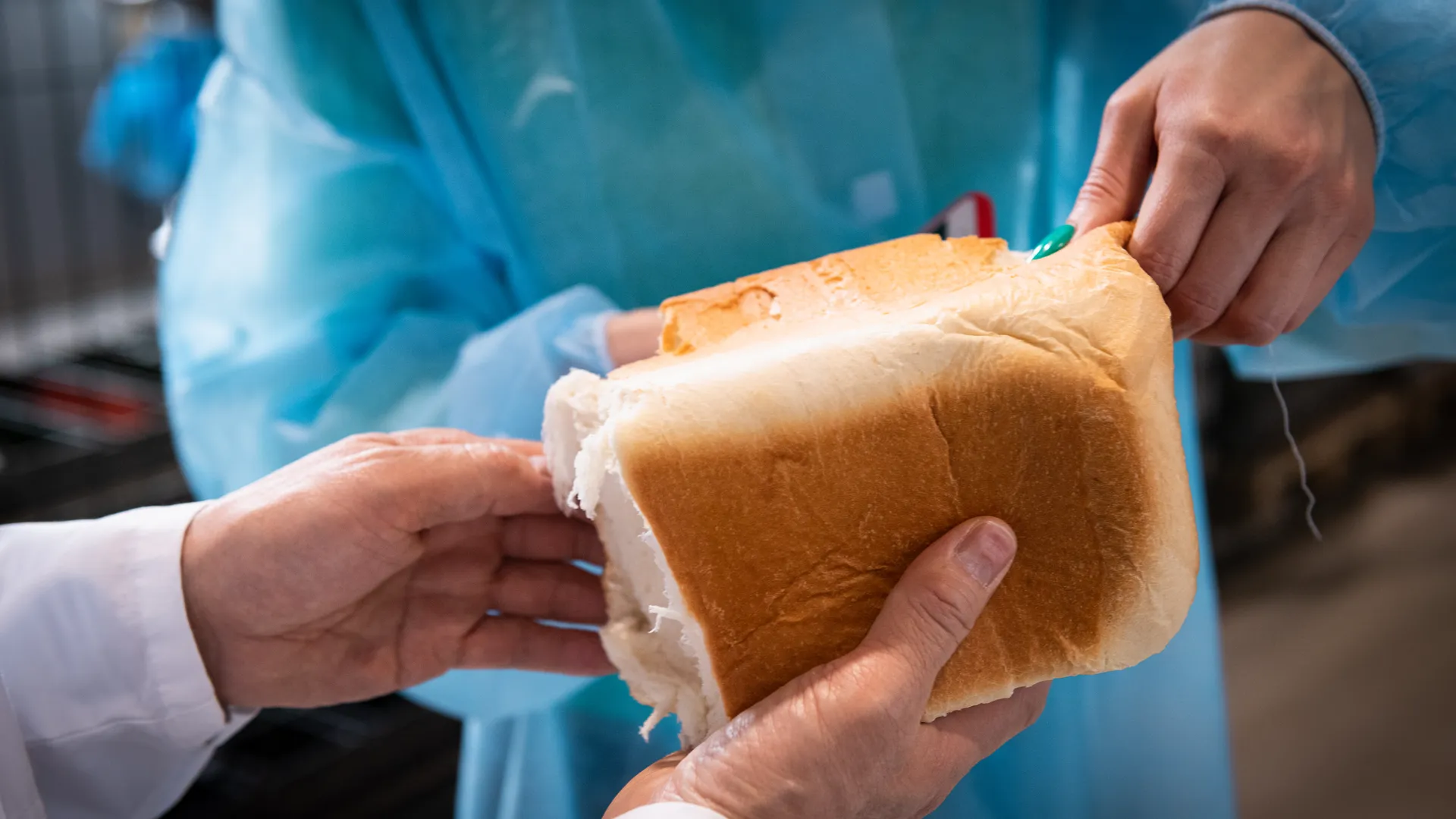 Хлеб с токсичным составом нашли во Владимирской области