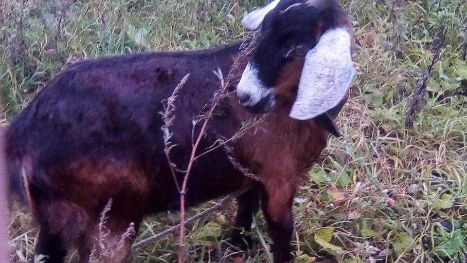 Фото: из личного архива Полины Савиной