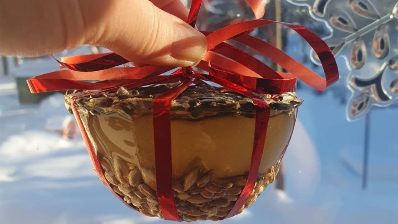 vk.com/Гимназия им. В.И. Танеева г.о. Клин