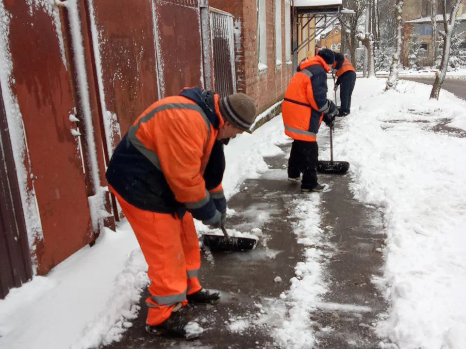 Фото: пресс-служба администрации г.о. Серпухов