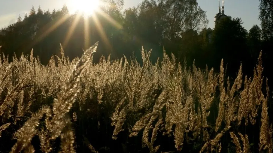 Фото: ruzamuseum.ru