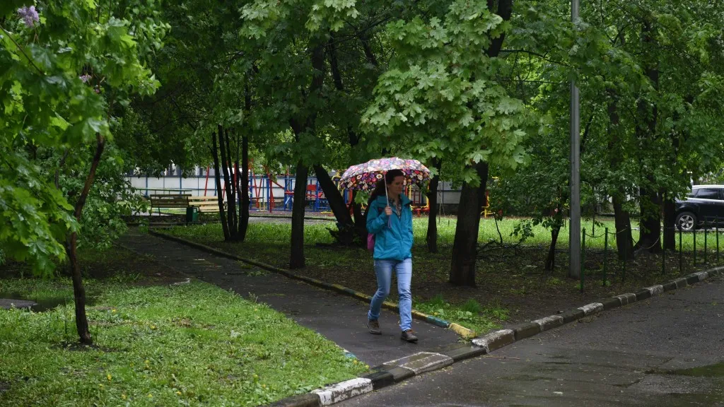 Фото: медиасток.рф