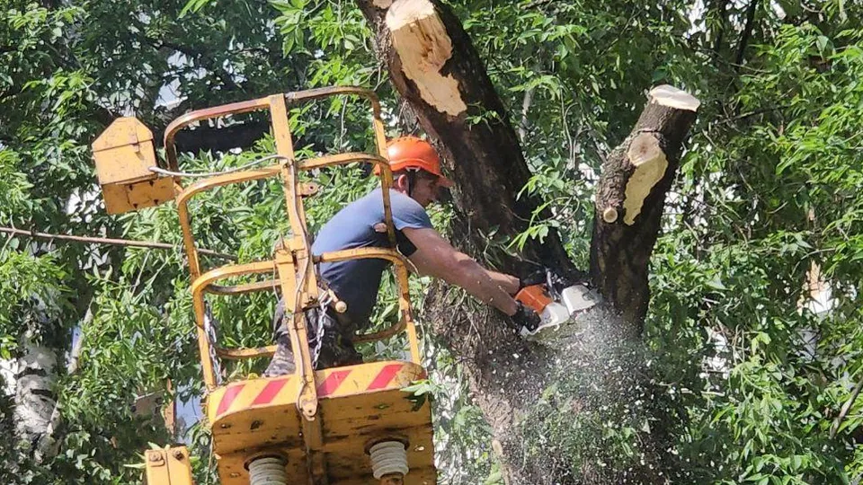 Фото: Наталья Лымарь