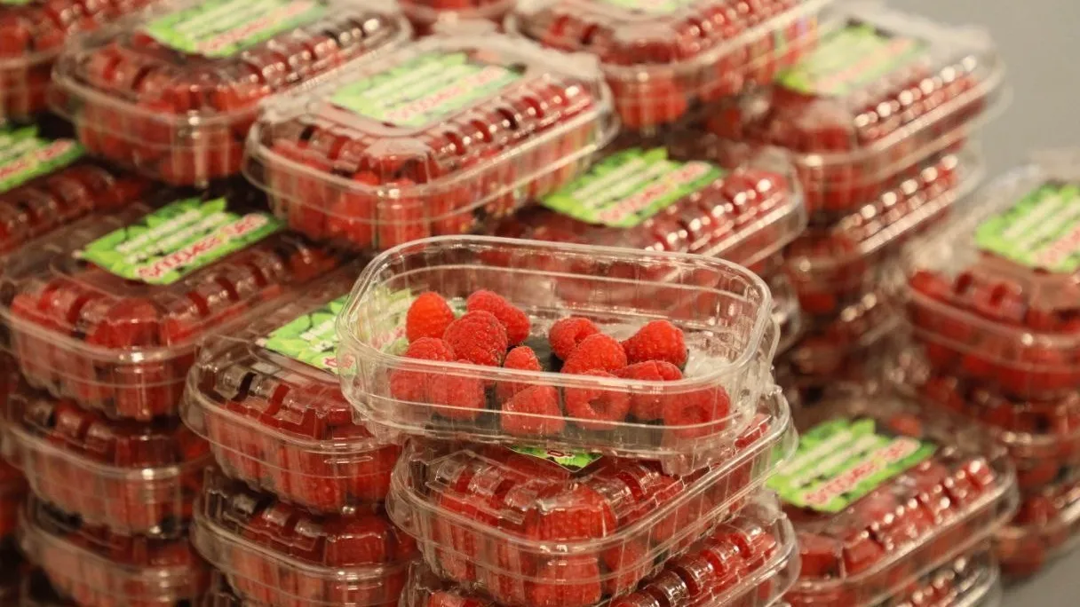 Фото: пресс-служба администрации Наро-Фоминского г.о.