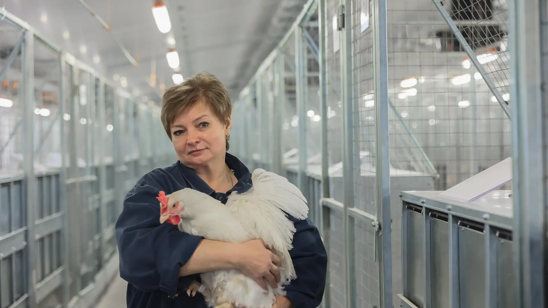 пресс-служба губернатора и правительства Московской области