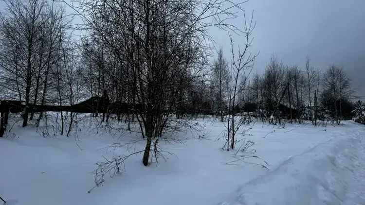 Единый портал торгов Московской области ЕАСУЗ