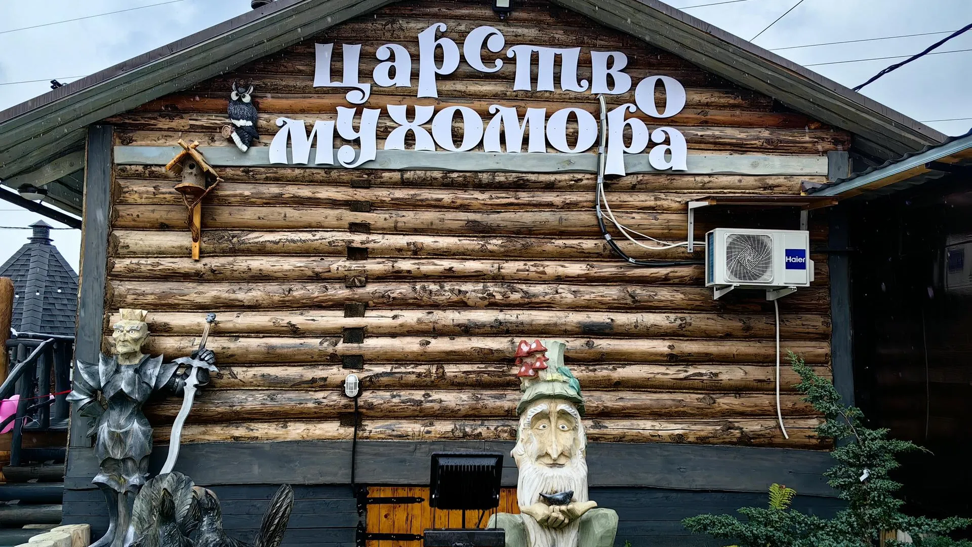 Елена Катасонова