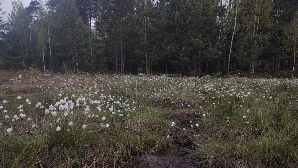 Фото:  Анна Карташева