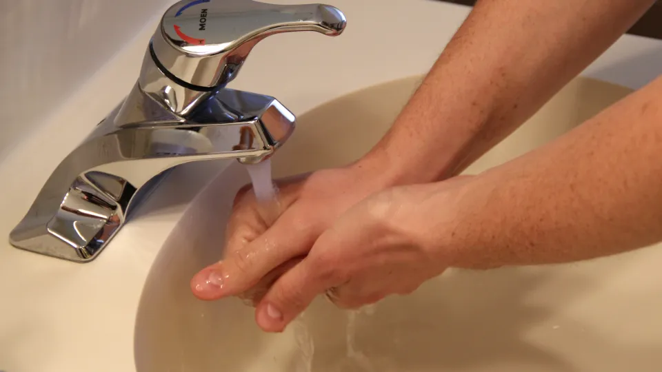 Фото: pxhere.com