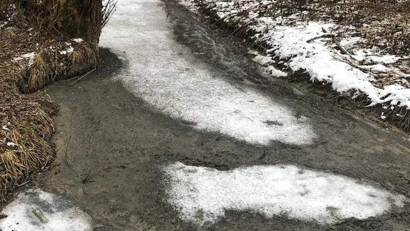 В Коломне привлекли к ответственности компанию за загрязнение реки Гнилуши