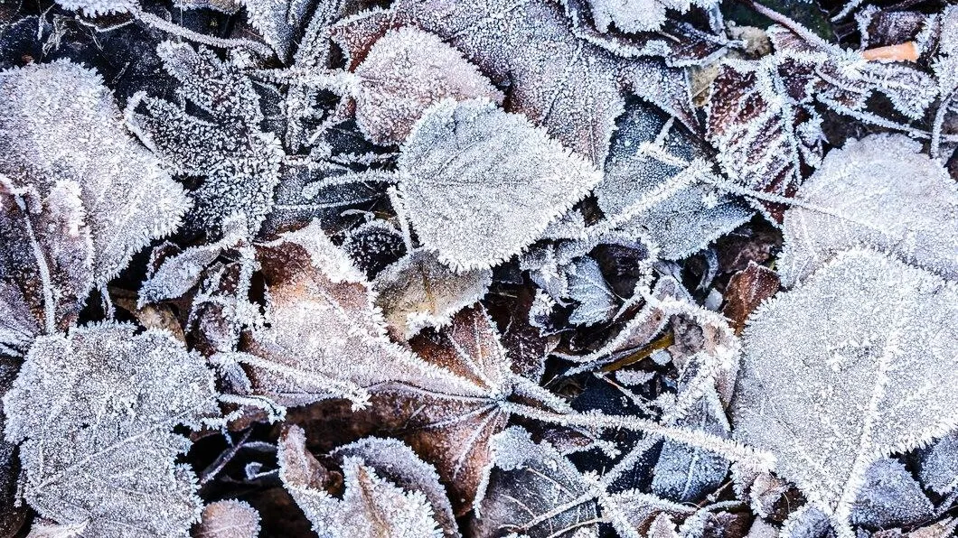 медиасток.рф