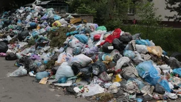 Уже 91% выявленных свалок уничтожили в Подмосковье