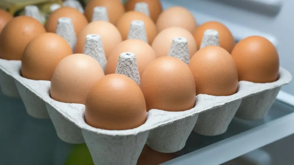 REGIONS/Сгенерировано нейросетью