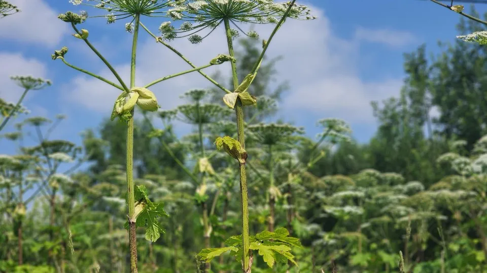 Фото: Елена Шумакова