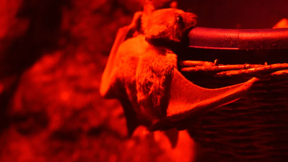 Фото: медиасток.рф