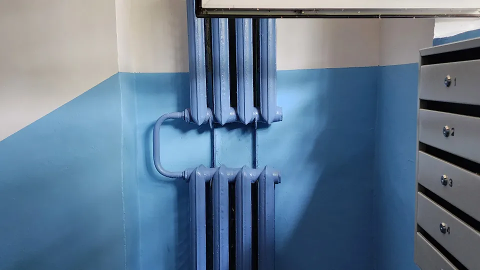 Фото: МедиаБанк Подмосковья/Ольга Антонова