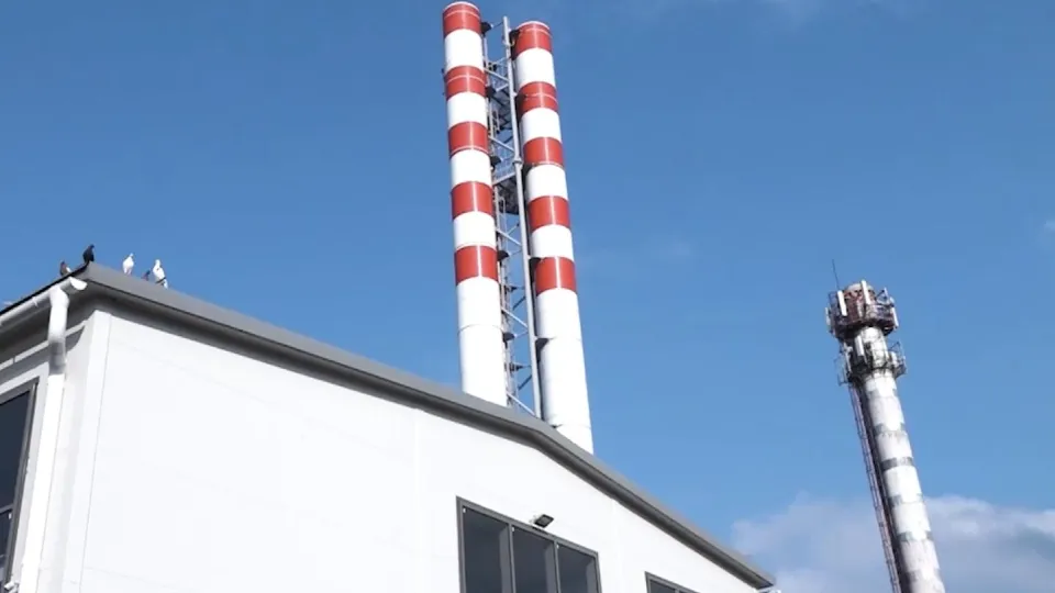 Фото: пресс-служба администрации г.о. Домодедово