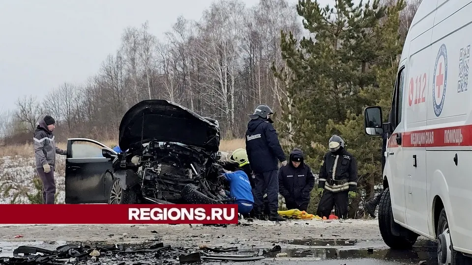 Фото: REGIONS/Александр Дрожжин