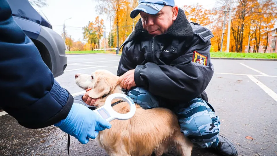 Фото: МедиаБанк Подмосковья/Данила Кирьянов