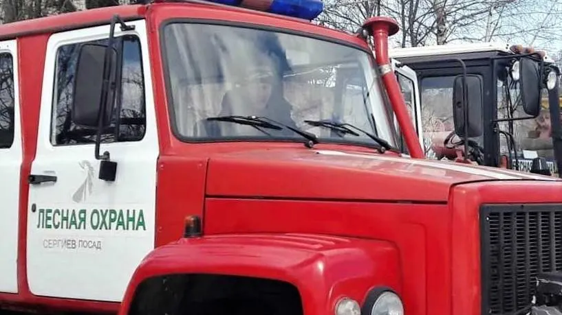 Фото: Комитет лесного хозяйства Московской области