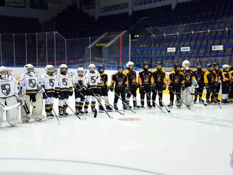 Фото: Федерация хоккея Московской области