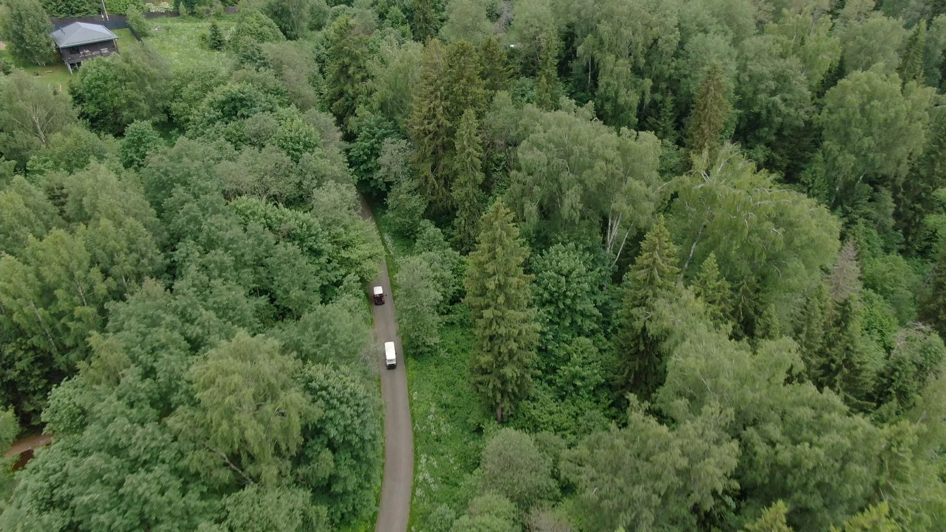 Ксения Борцова