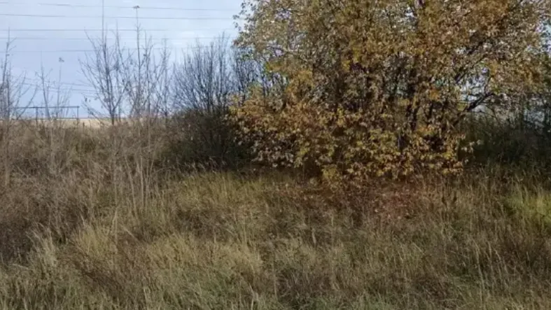 Фото: Единый портал торгов Московской области ЕАСУЗ