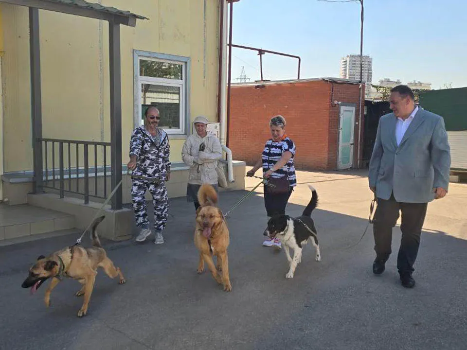 Фото: vk.com/«ЕДИНАЯ РОССИЯ» Подольск