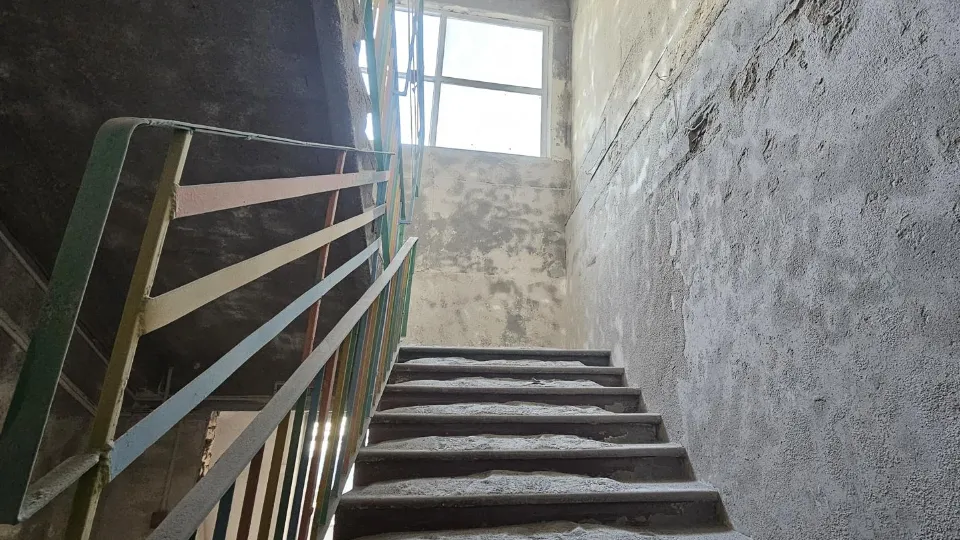 Фото: МедиаБанк Подмосковья/Вероника Горбачева