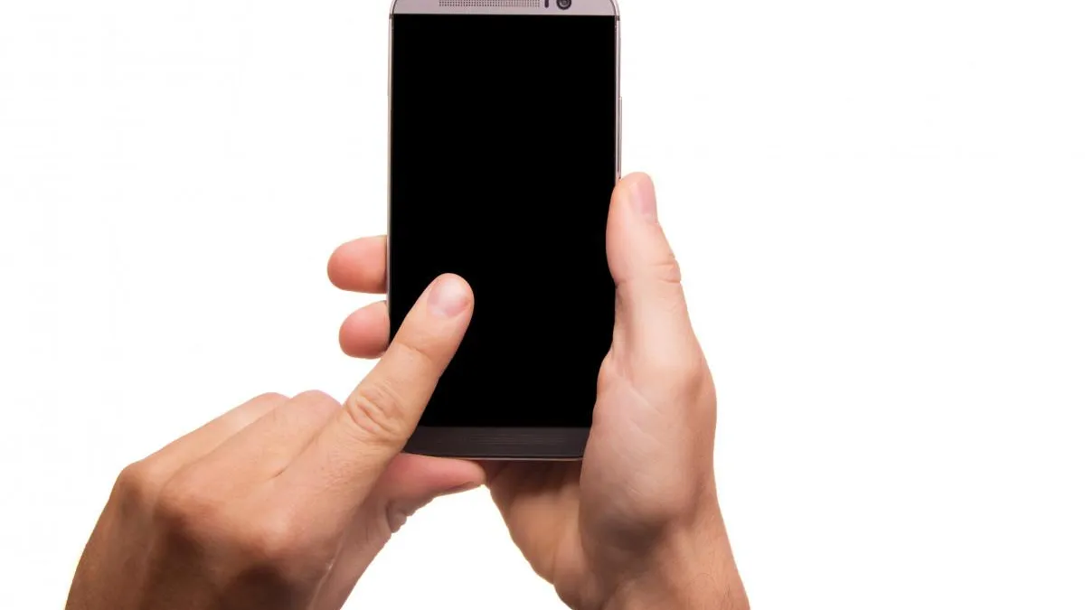 Фото: pxhere.com