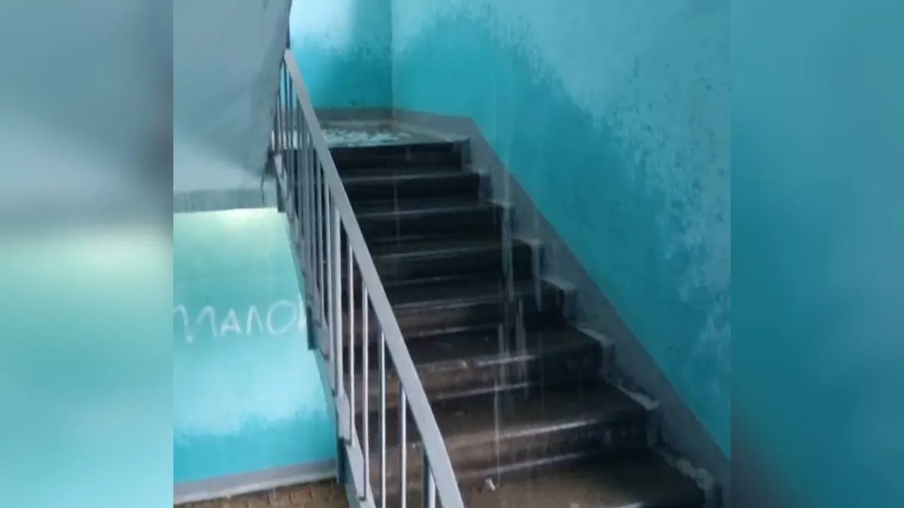 Фото: t.me/real_solnechnogorsk