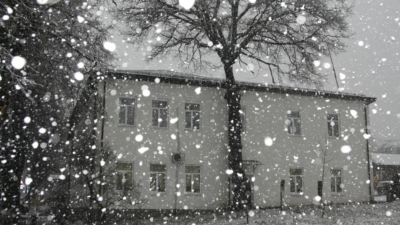 Фото: Ангелина Максимова