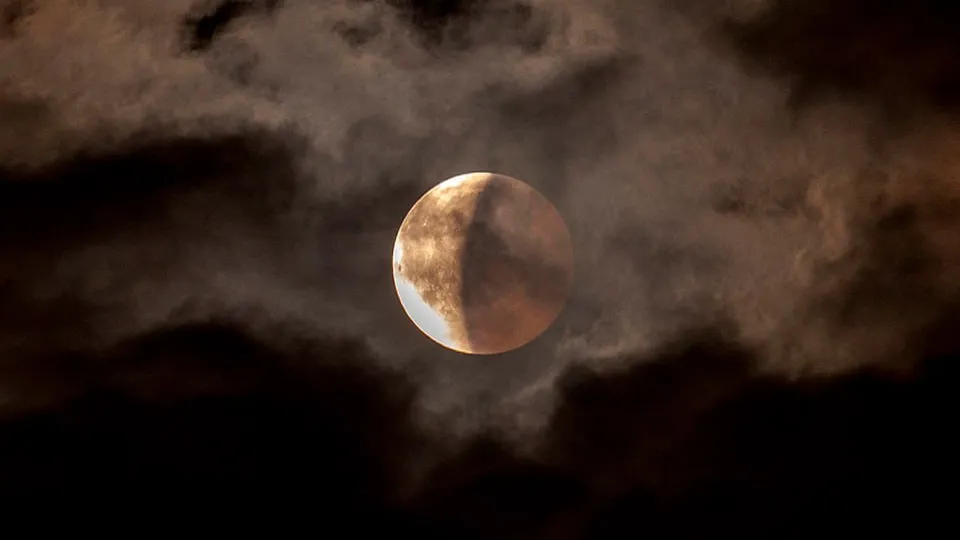 Фото: istockphoto.com/Cocolos Valeriu Octavian