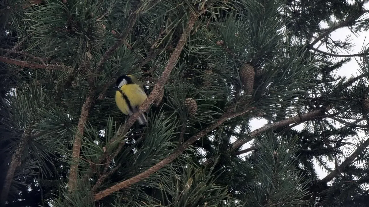 REGIONS/Юлия Алабина