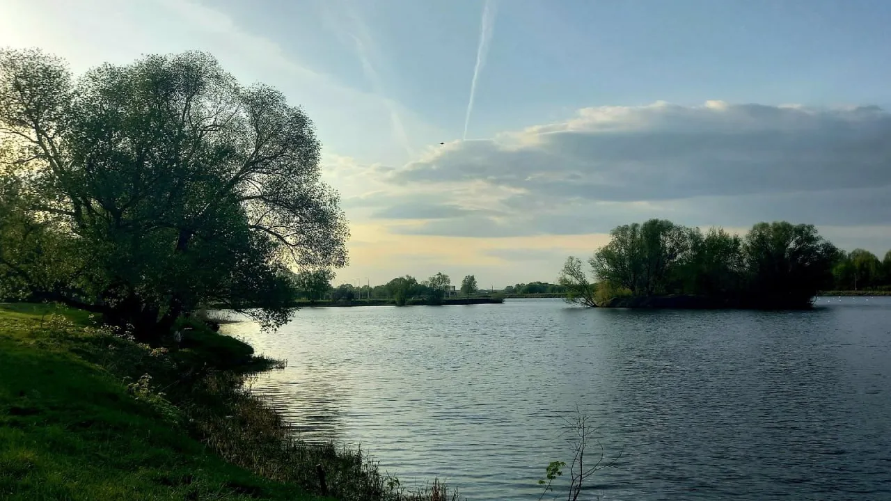 Фото: Марина Дворковая