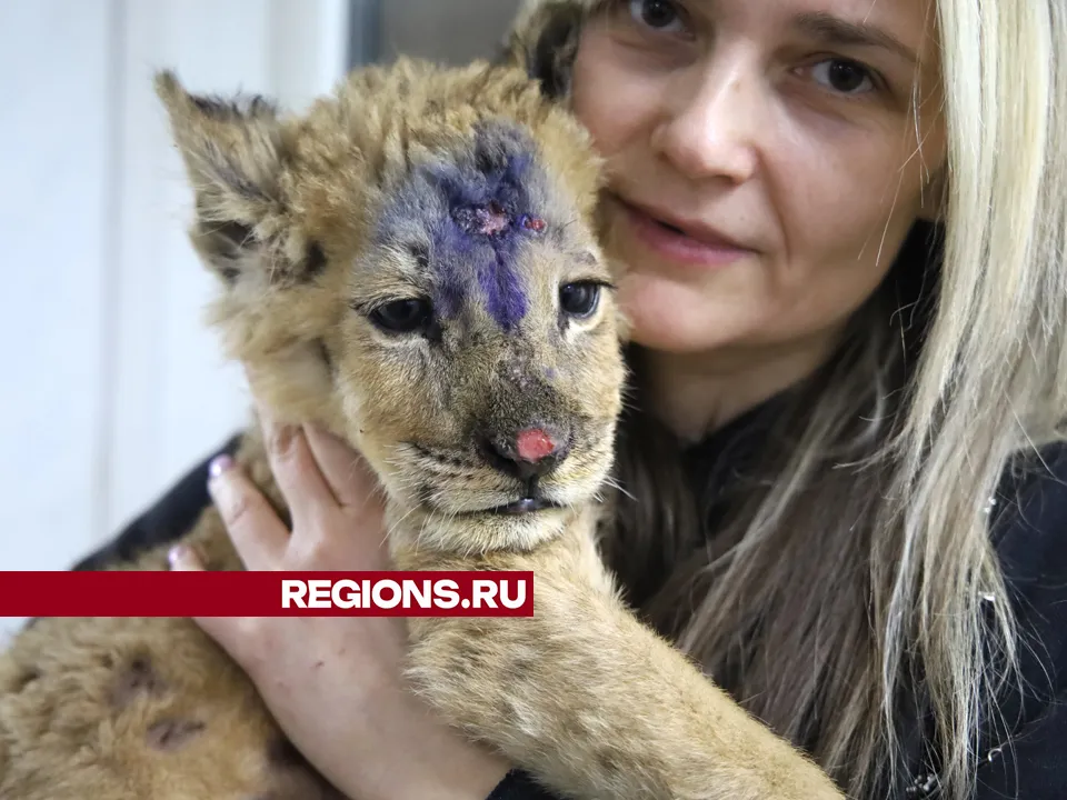 Фото: REGIONS/Ольга Пятикрестовская