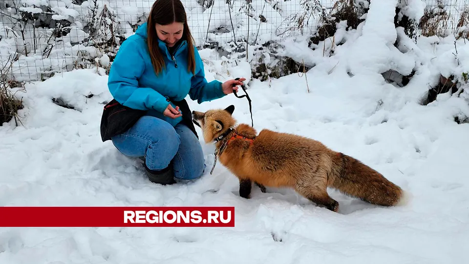 Фото: Валентина Максимова