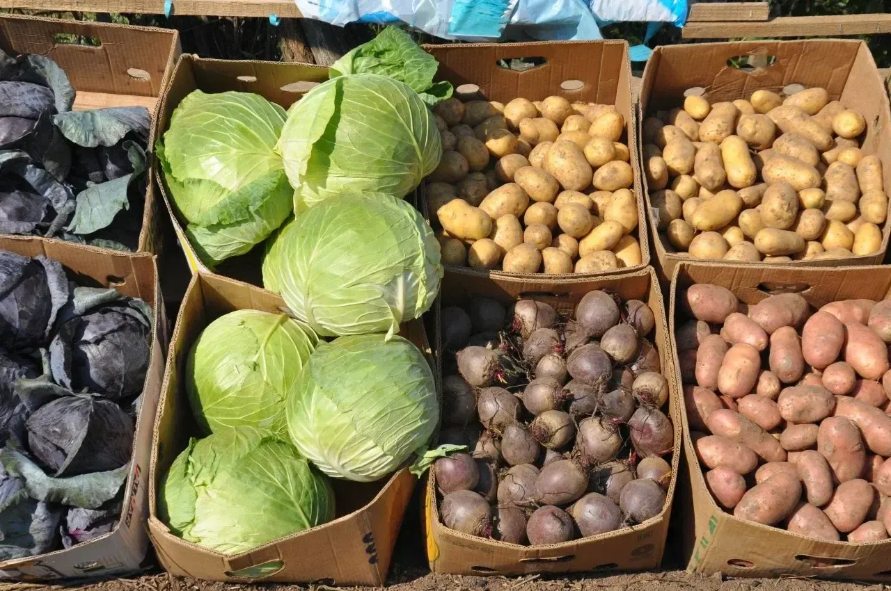 Фото: Пресс-служба администрации г.о. Воскресенск