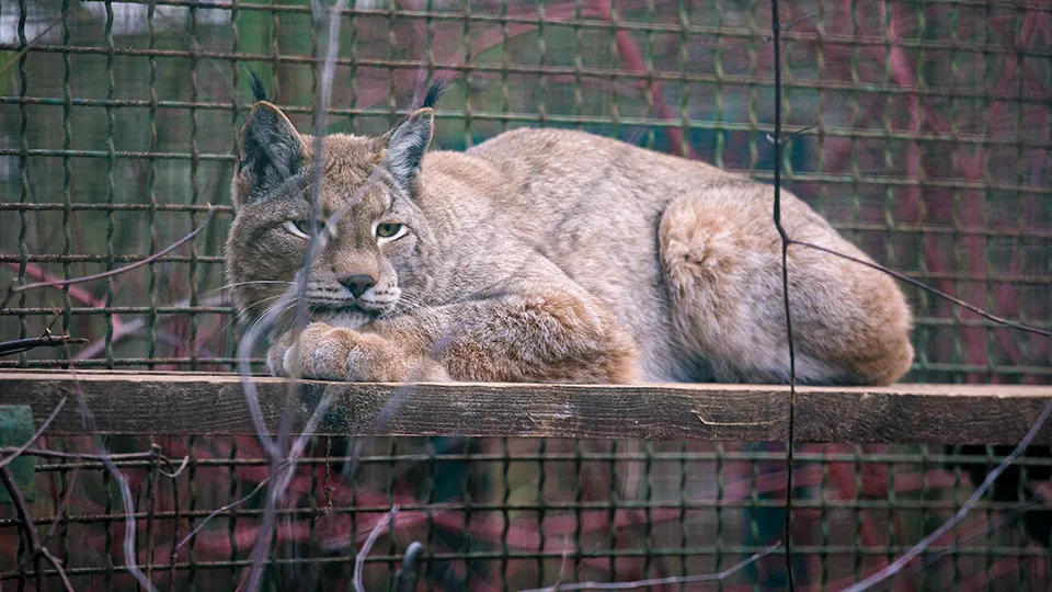 Фото: медиасток.рф