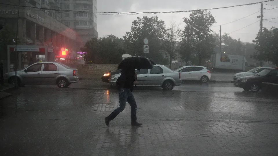 Фото: медиасток.рф