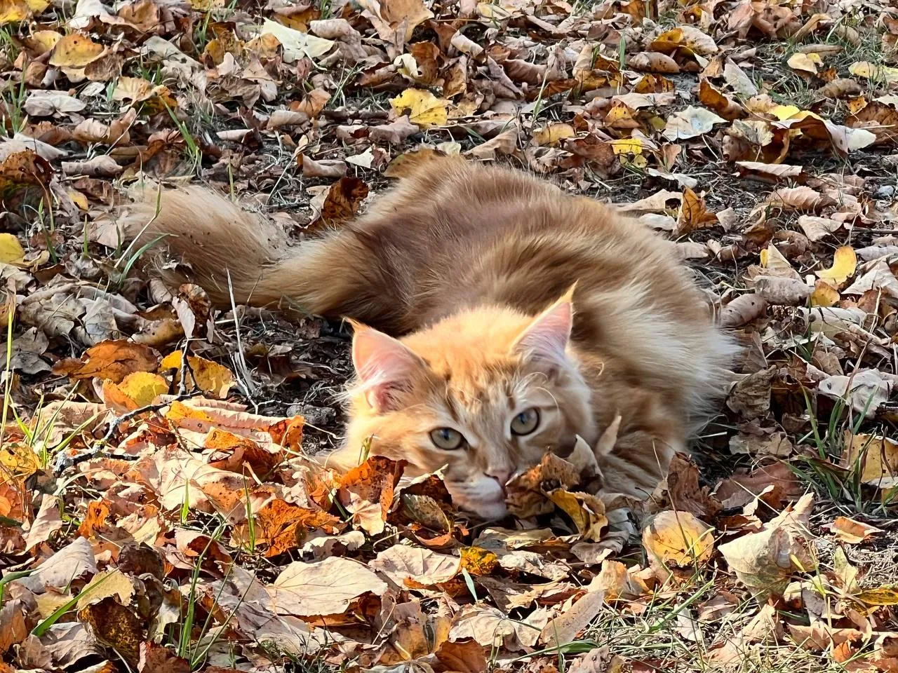 Фото: личный архив Елены Фурман