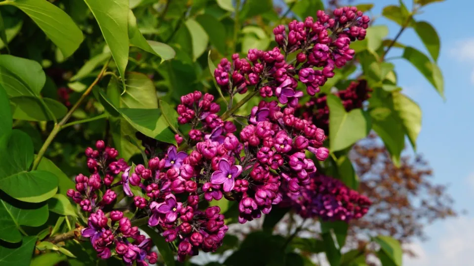 Фото: pxhere.com