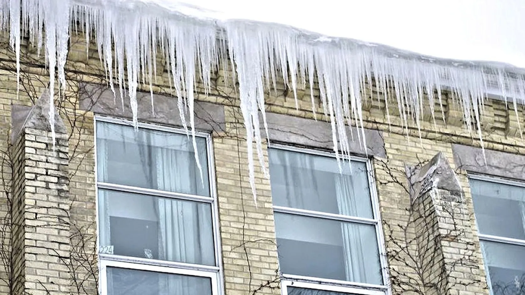 Фото: pxhere.com