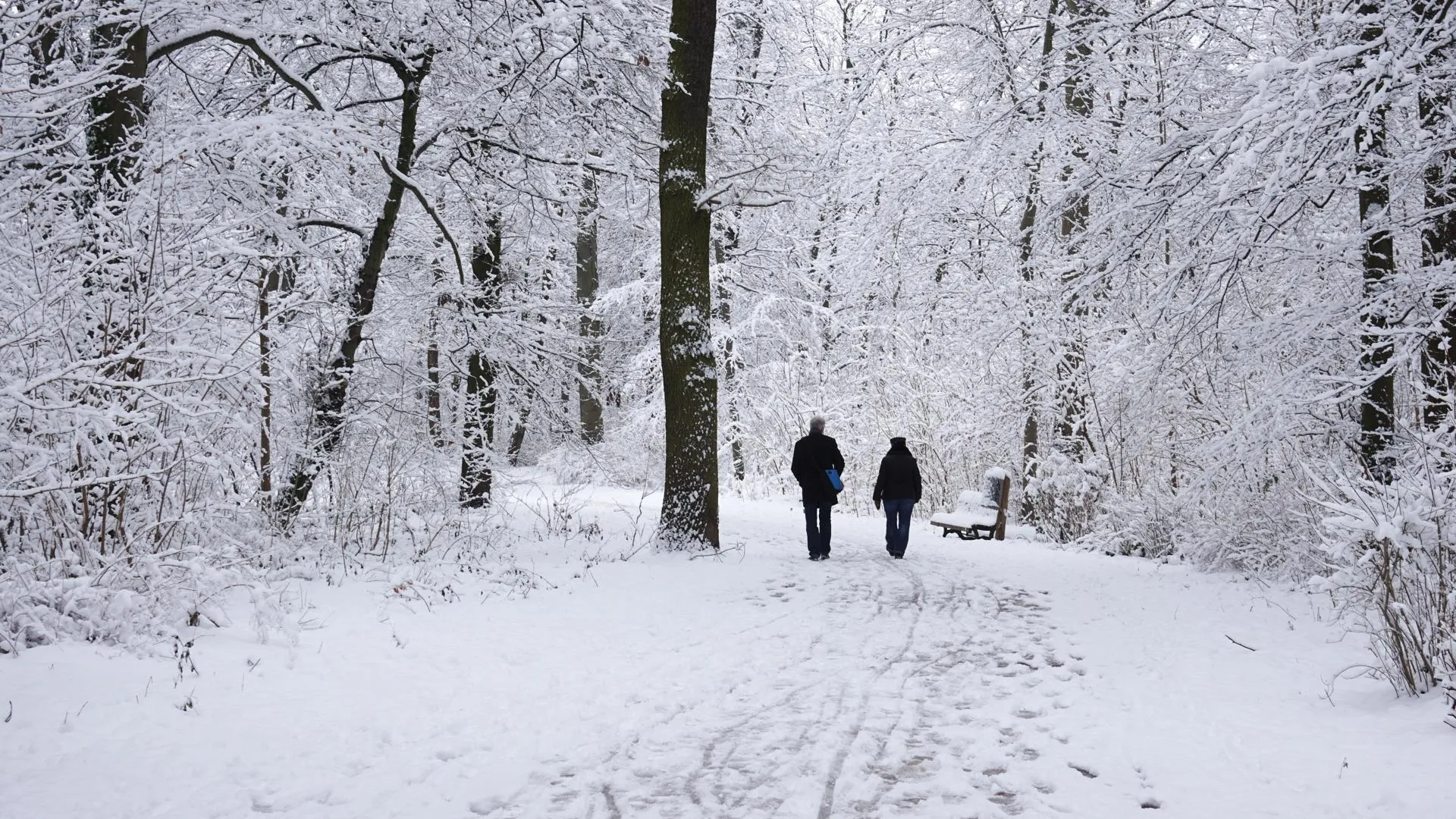 Источник: Freepik