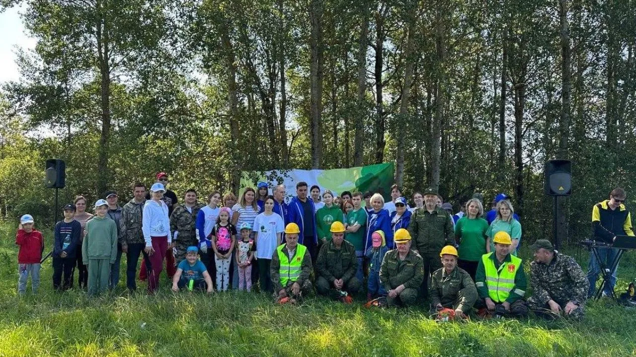 В четырех подмосковных лесничествах в этом месяце провели субботники в рамках акции «Чистый лес»